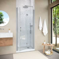 Душевая дверь в нишу Vegas-Glass GPS NOVO 100 h189 матовый хром