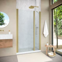 Душевая дверь Vegas-Glass EP-F-1 NOVO 100 h200 золото матовое