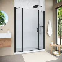 Душевая дверь Vegas-Glass EP-2F NOVO 205 h200 черный матовый