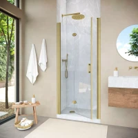 Душевая дверь в нишу Vegas-Glass GPS NOVO 100 h200 золото матовое