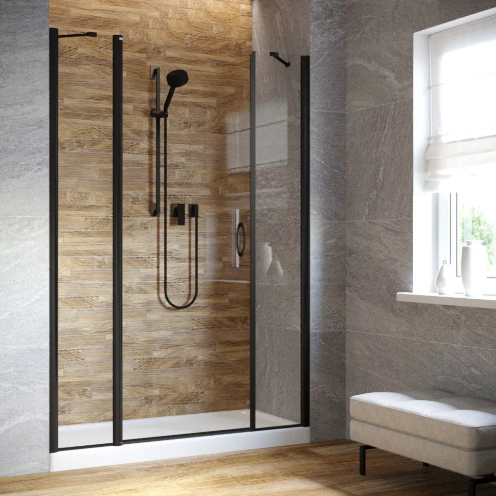 Душевая дверь в нишу Vegas-Glass EP-2F LUX 160 черный матовый