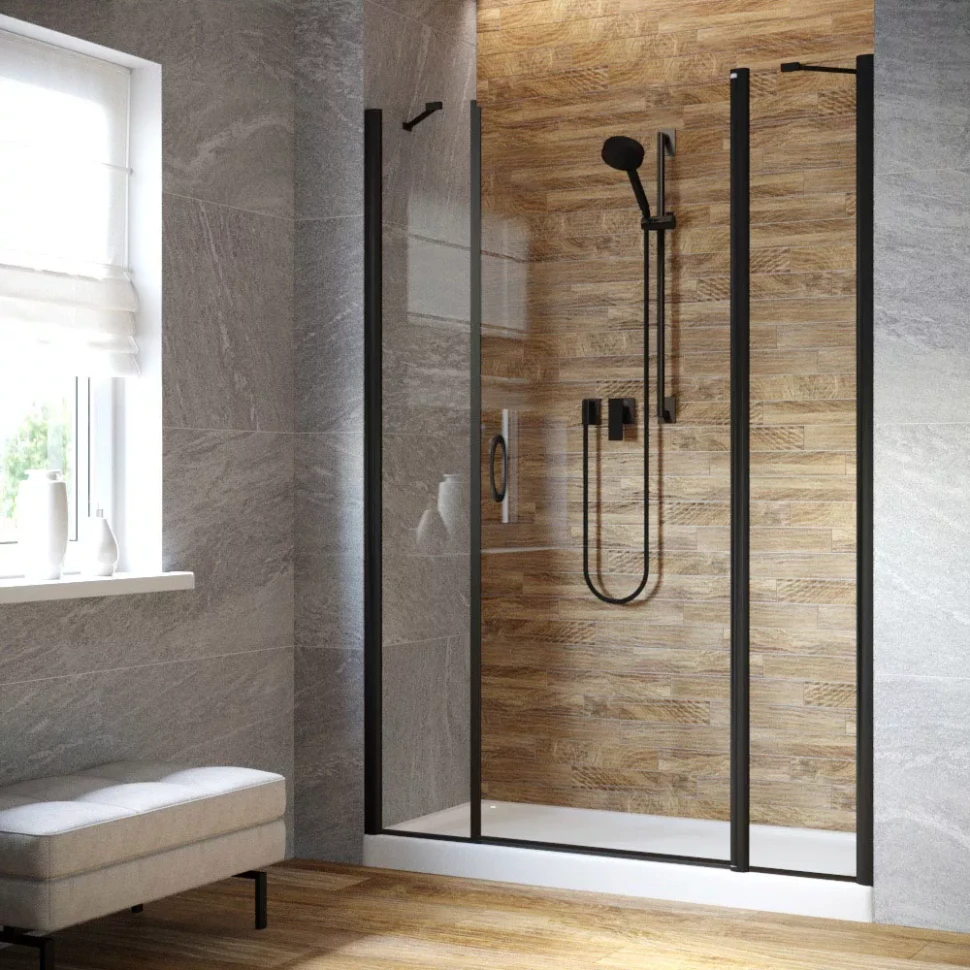 Душевая дверь в нишу Vegas-Glass EP-2F LUX 160 черный матовый