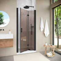 Душевая дверь в нишу Vegas-Glass GPS NOVO 70 h189 черный матовый