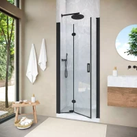 Душевая дверь в нишу Vegas-Glass GPS NOVO 70 h189 черный матовый
