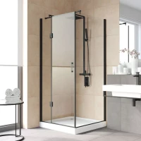 Душевой уголок Vegas-Glass AFP-Fis LUX 110x100 черный матовый