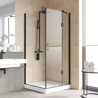 Душевой уголок Vegas-Glass AFP-Fis LUX 110x100 черный матовый