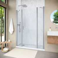 Душевая дверь Vegas-Glass EP-2F NOVO 160 h200 матовый хром