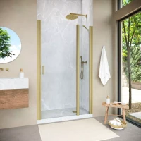 Душевая дверь Vegas-Glass EP-F-1 NOVO 105 h200 золото матовое
