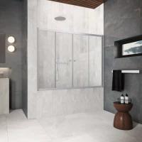 Шторки на ванну Z2V Protec 165 матовый хром