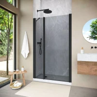 Душевая дверь Vegas-Glass EP-F-2 NOVO 155 h200 черный матовый