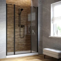 Душевая дверь в нишу Vegas-Glass EP-2F LUX 170 черный матовый