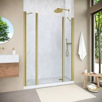 Душевая дверь Vegas-Glass EP-2F NOVO 165 h200 золото матовое