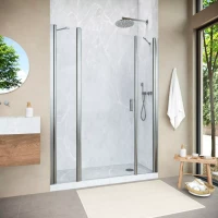 Душевая дверь Vegas-Glass EP-2F NOVO 165 h200 золото матовое