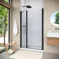 Душевая дверь Vegas-Glass EP-F-2 NOVO 110 h200 черный матовый