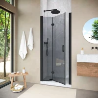 Душевая дверь в нишу Vegas-Glass GPS NOVO 80 h200 черный матовый